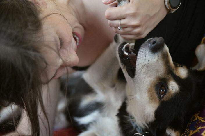 Sesja zdjęciowa ze zwierzakami w Kraków