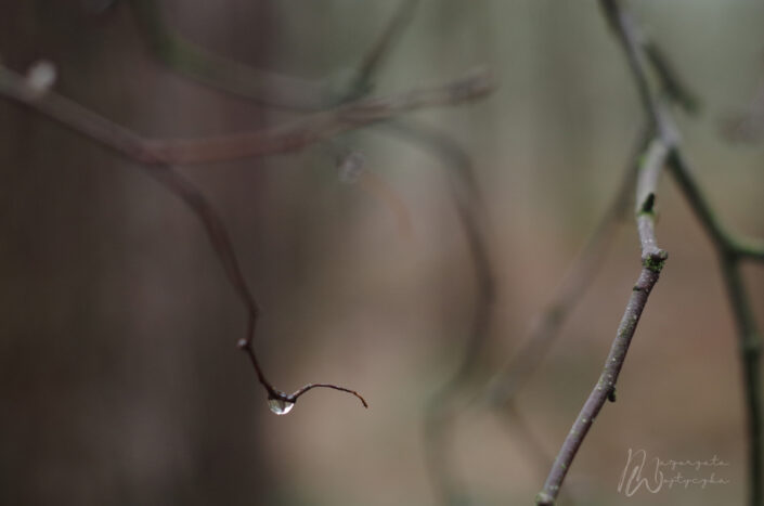 Kropla deszczu, fotografia